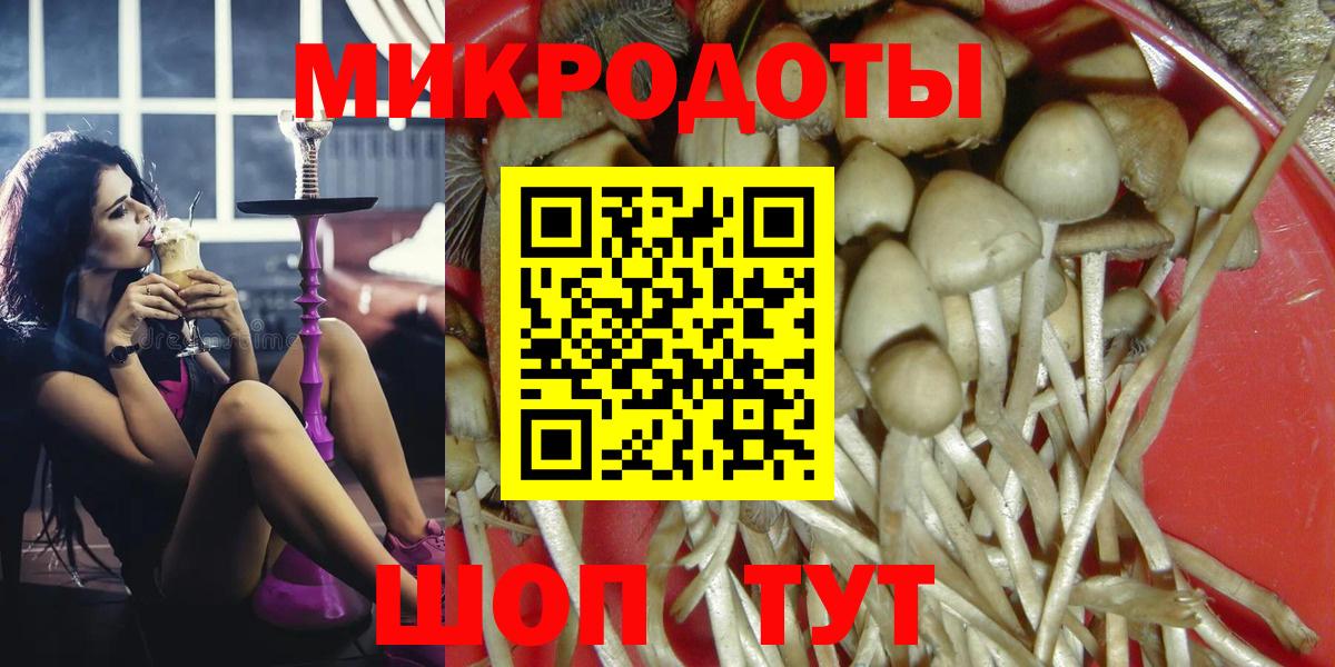 Галлюциногенные грибы Psilocybe  Вход с VPN  Сызрань 